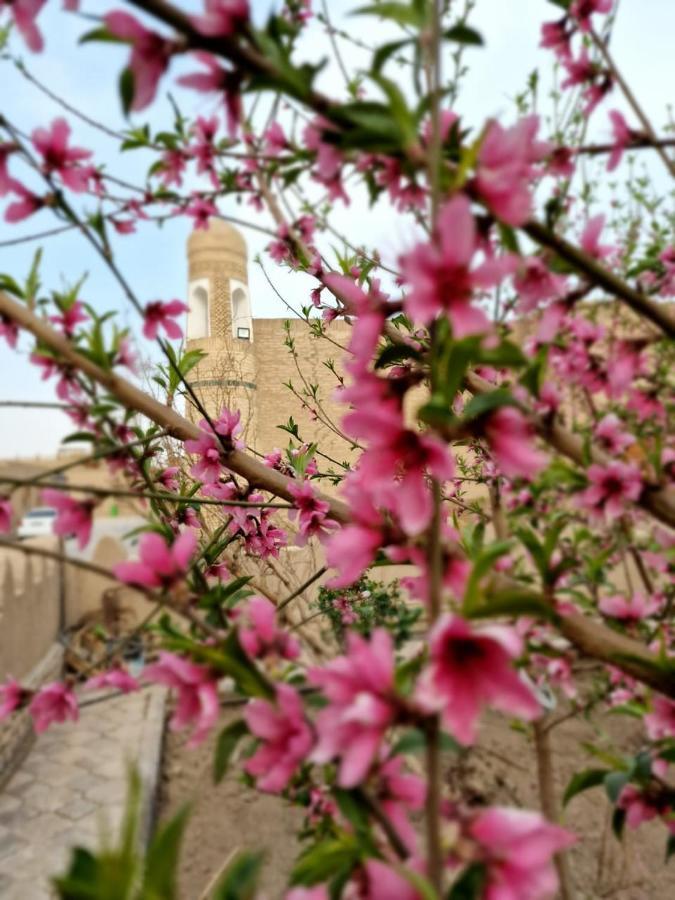 Guest House Khiva Boyjon Ota Esterno foto